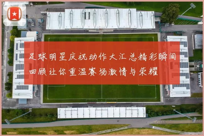 足球明星庆祝动作大汇总精彩瞬间回顾让你重温赛场激情与荣耀