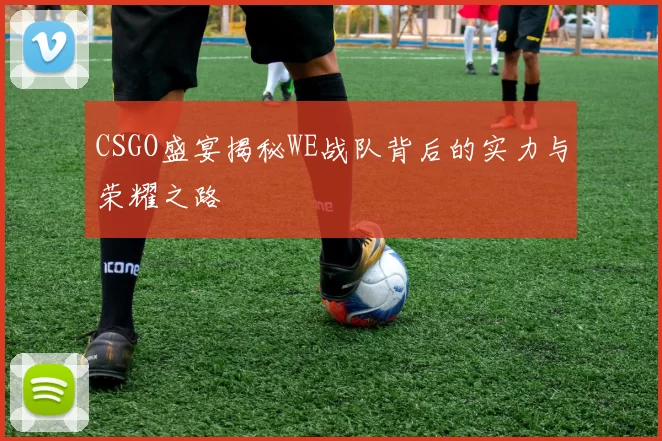 CSGO盛宴揭秘WE战队背后的实力与荣耀之路
