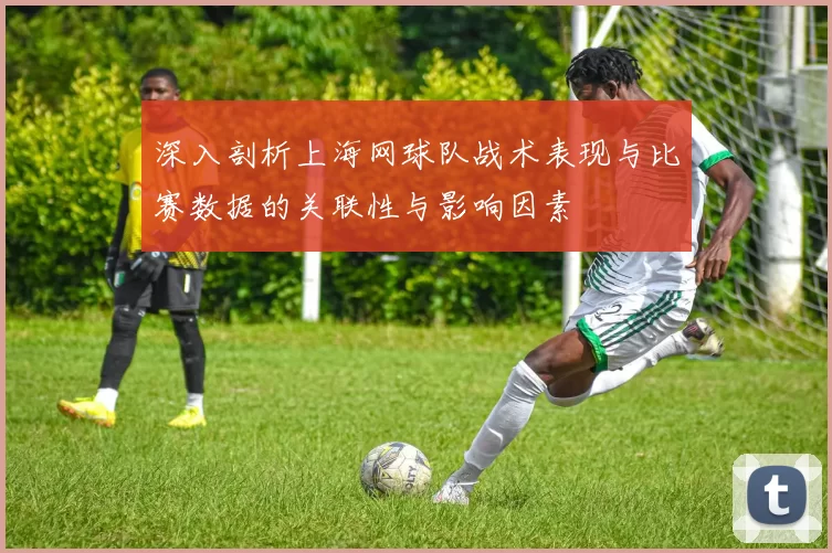 深入剖析上海网球队战术表现与比赛数据的关联性与影响因素