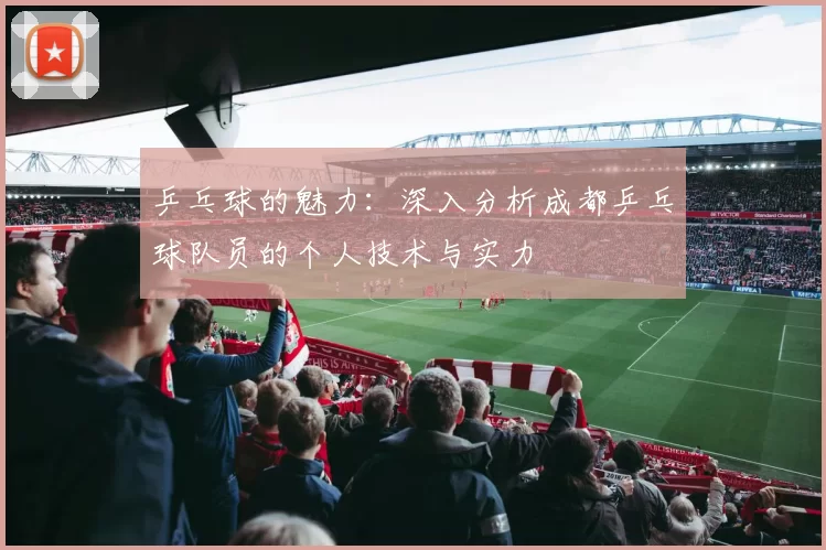 乒乓球的魅力：深入分析成都乒乓球队员的个人技术与实力