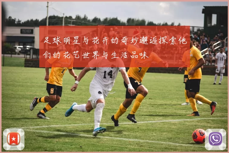 足球明星与花卉的奇妙邂逅探索他们的花艺世界与生活品味