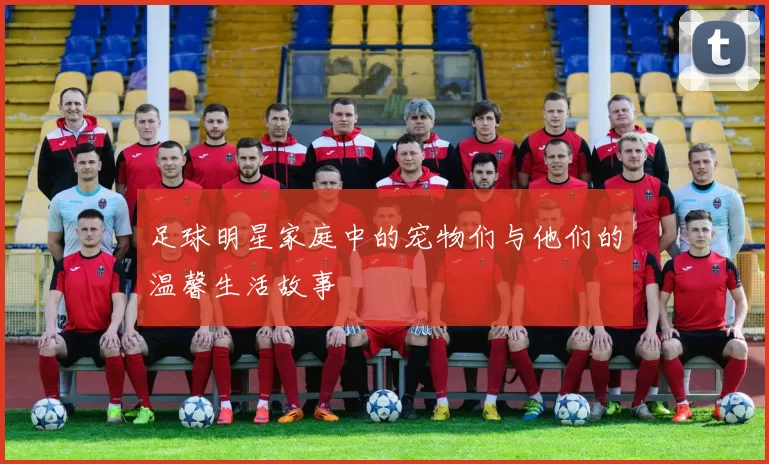 足球明星家庭中的宠物们与他们的温馨生活故事