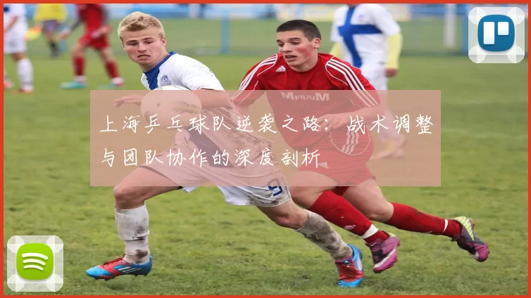 上海乒乓球队逆袭之路：战术调整与团队协作的深度剖析
