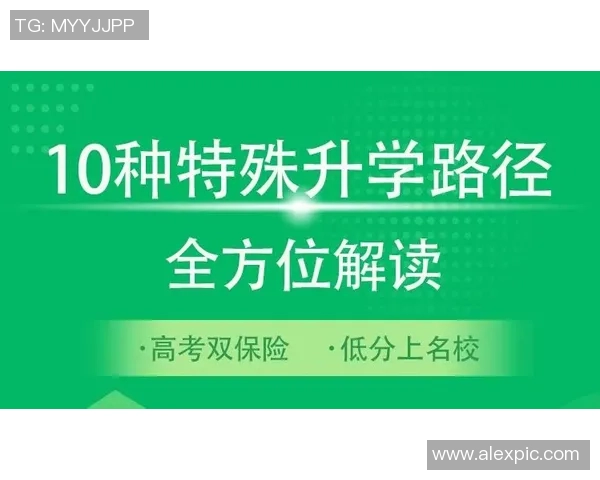 以提升综合能力为目标的全方位训练方法及其实施路径探析